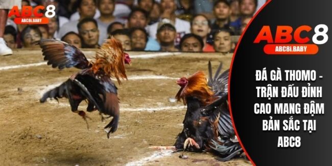 Đá Gà Thomo